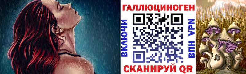 наркошоп  Котельнич  Псилоцибиновые грибы Cubensis 